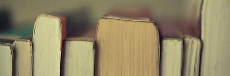 devnovice's profile banner image