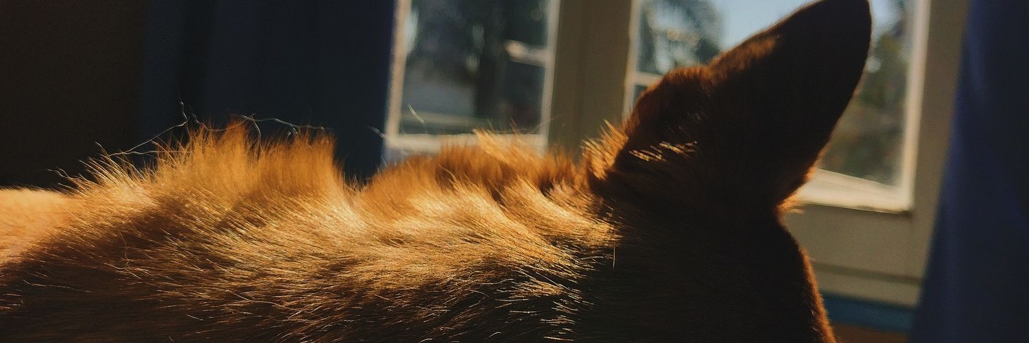 RaayFunes's profile banner image