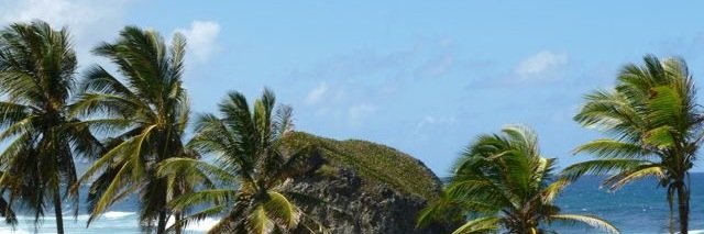 DesertHDiscs's profile banner image