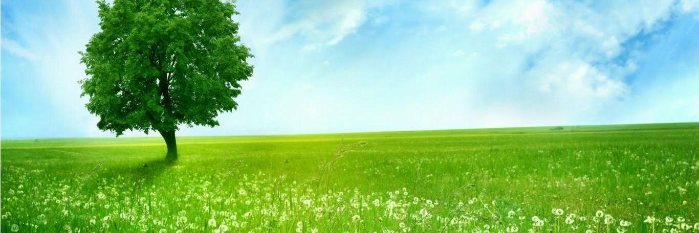 jpink3891's profile banner image