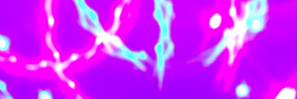JulietteSavy's profile banner image