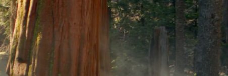 Dee Jefferson banner