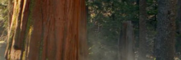 deejefferson Profile Banner