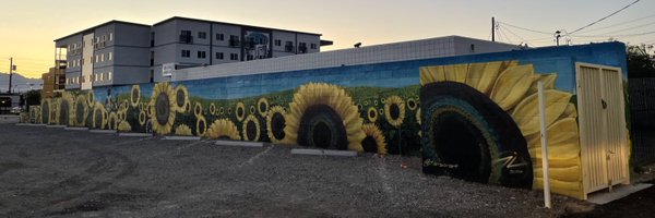 followthis28 Profile Banner