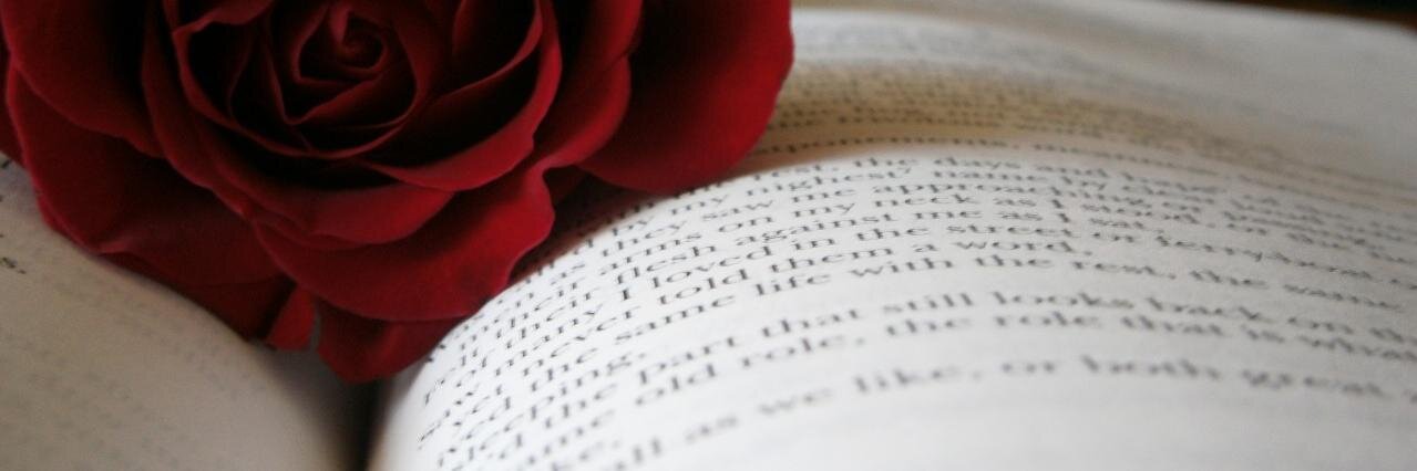 Romance Writers banner