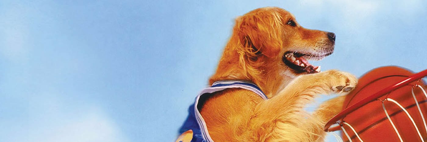 slcsoyboy's profile banner image