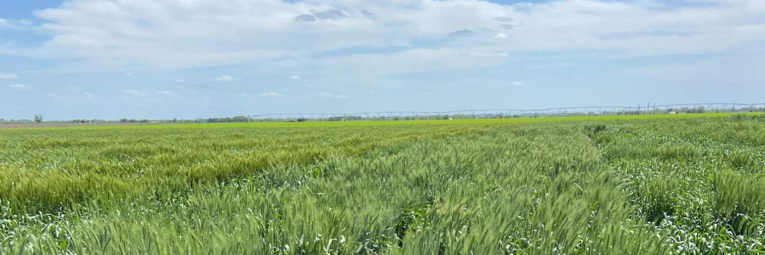 HighPlainWheat's profile banner image