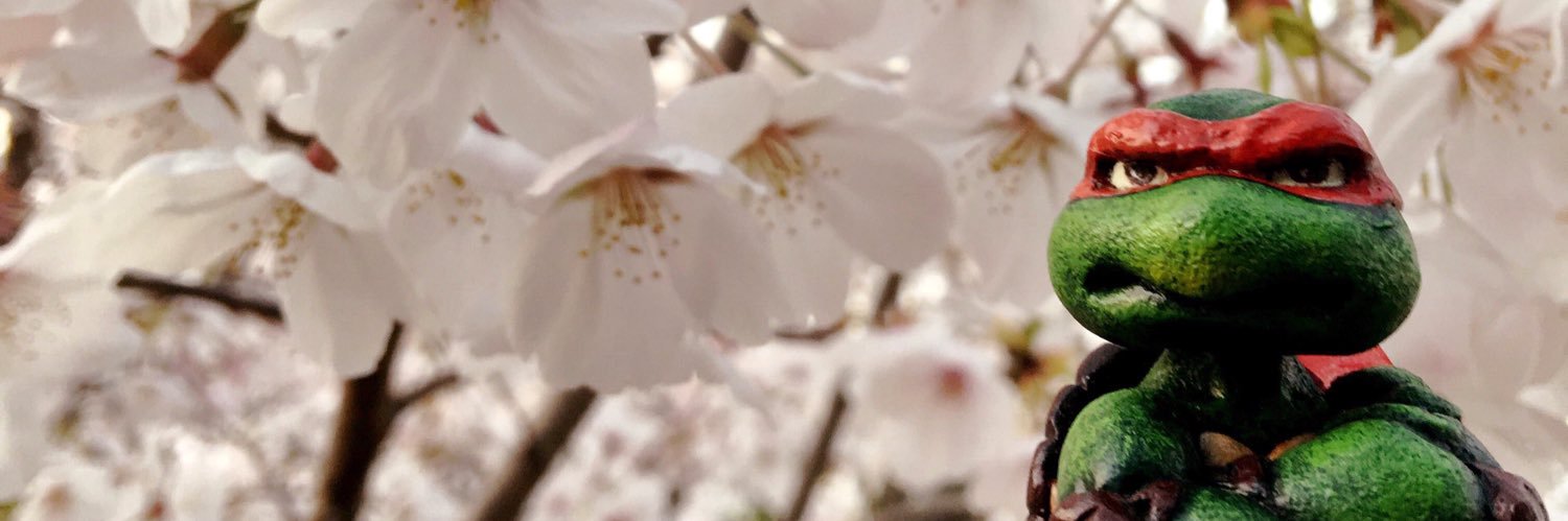 tnkb_n's profile banner image