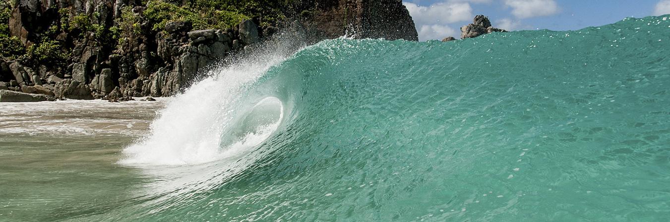 _thequiver_'s profile banner image
