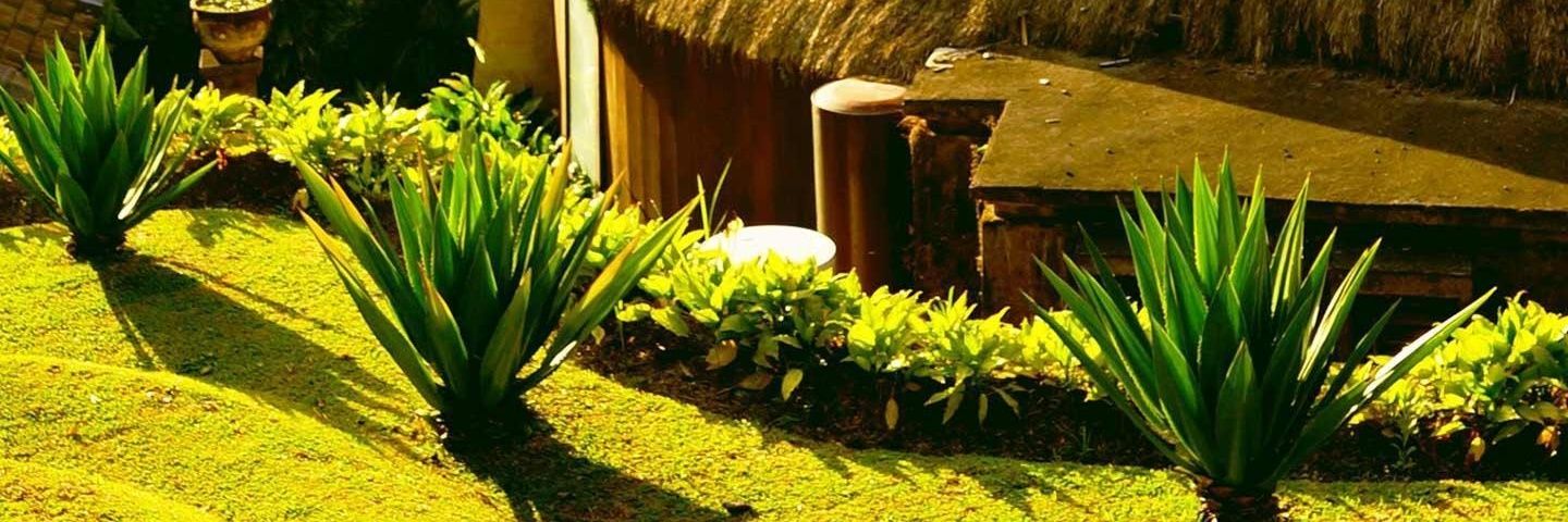 PetitKem's profile banner image