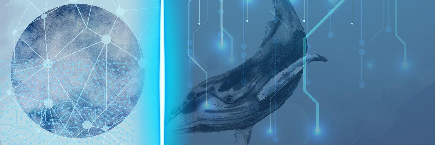 hyperonwhale's profile banner image