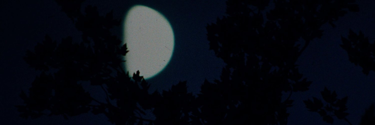 SimoniesOfLotus's profile banner image