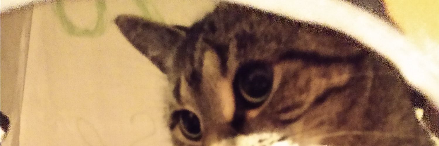 IHDTD 💙FDT💙FDT💙FDT💙FDT banner