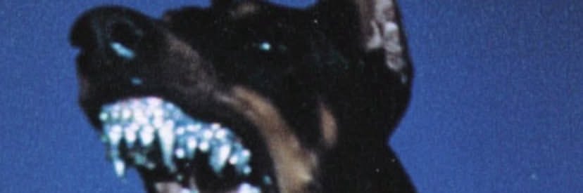 Blunt_Pyramid's profile banner image