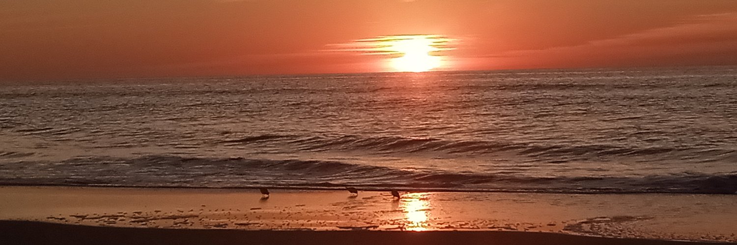 JimRomesADouche's profile banner image