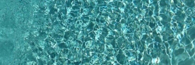 Shelly Lally banner
