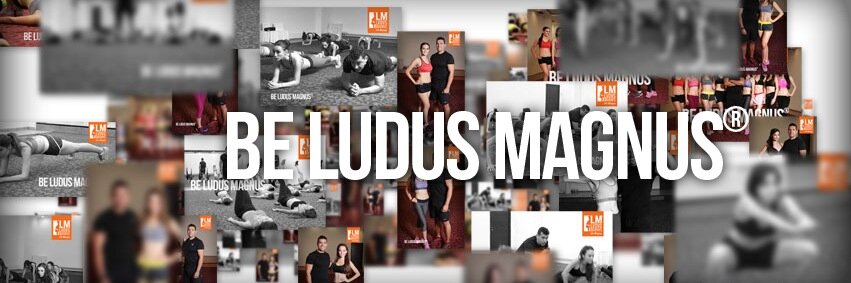 LudusMagnusMX's profile banner image