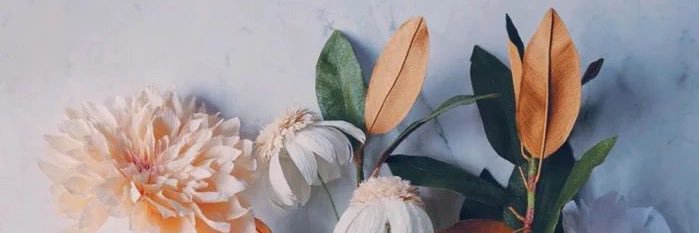 aya_pear's profile banner image