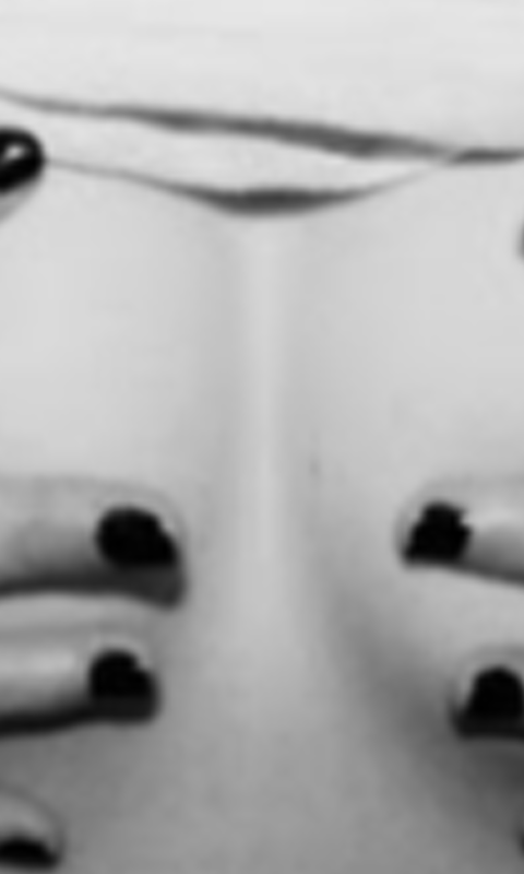 Afrod1te_'s profile banner image