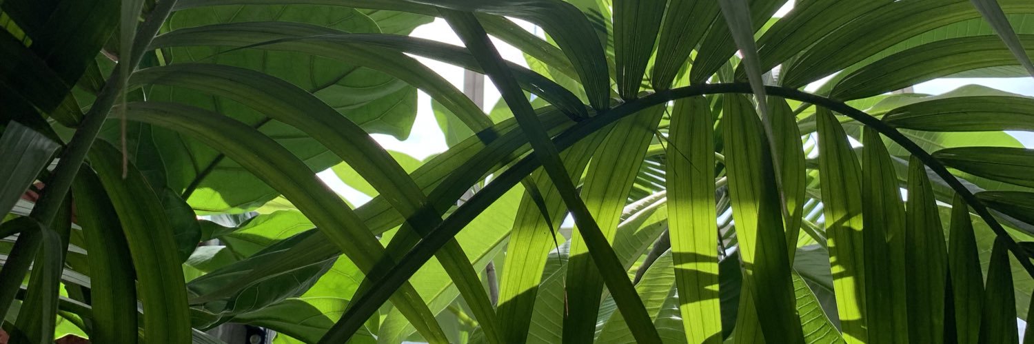 HaleyDHenry's profile banner image