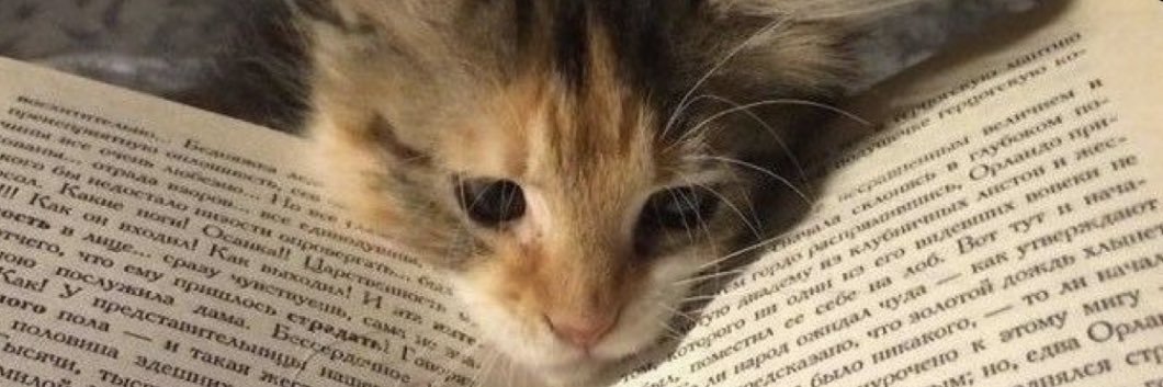 graceolson3's profile banner image