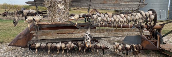 Curtsinger1271 Profile Banner