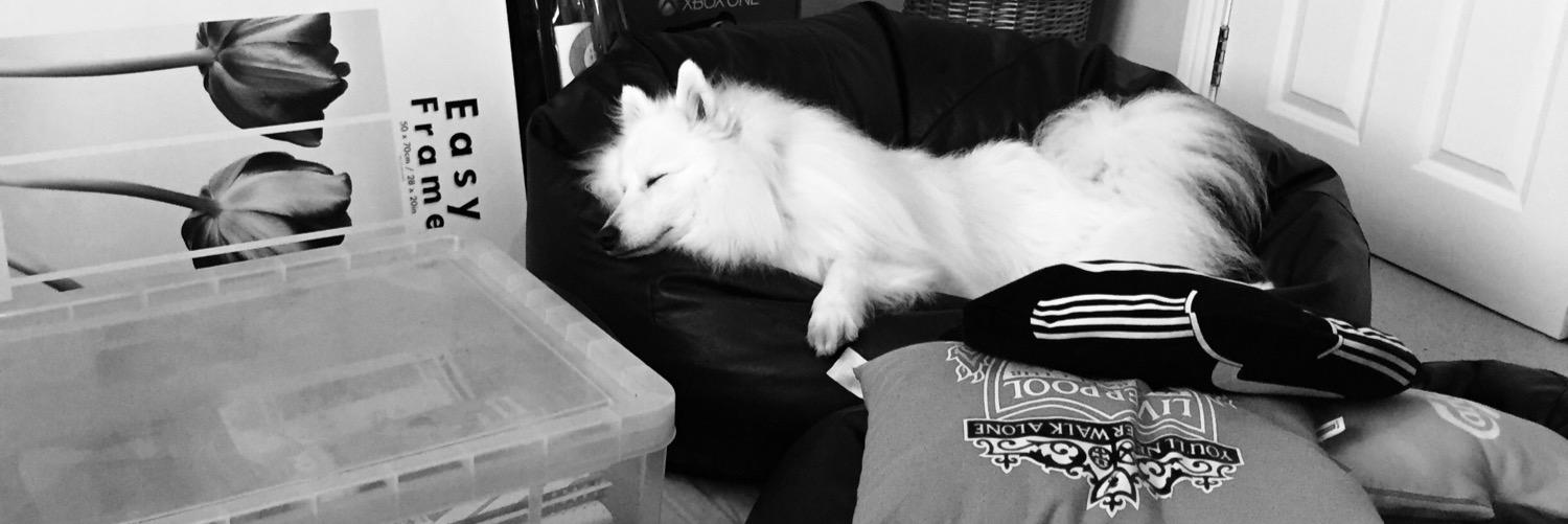 flavyboiii's profile banner image