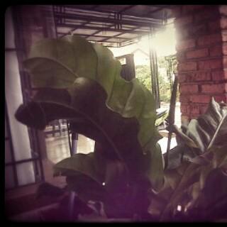 nengsrie76's profile banner image
