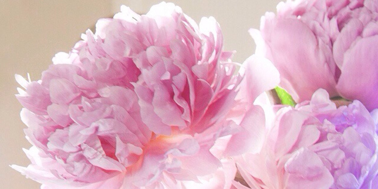 erin_reimel's profile banner image