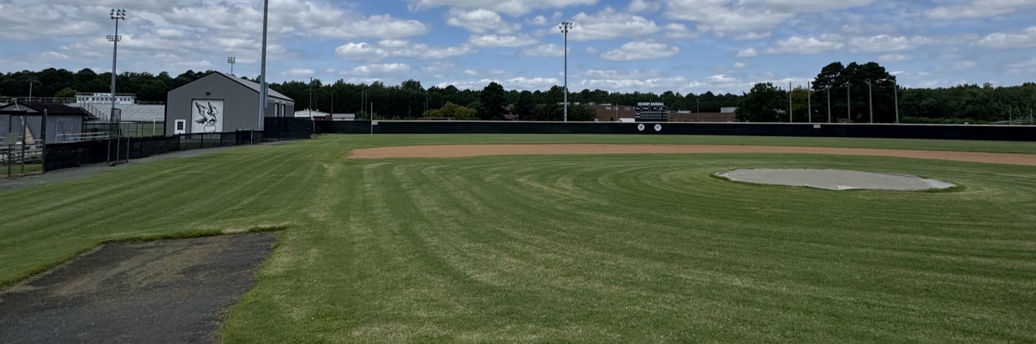 Hickory Baseball banner