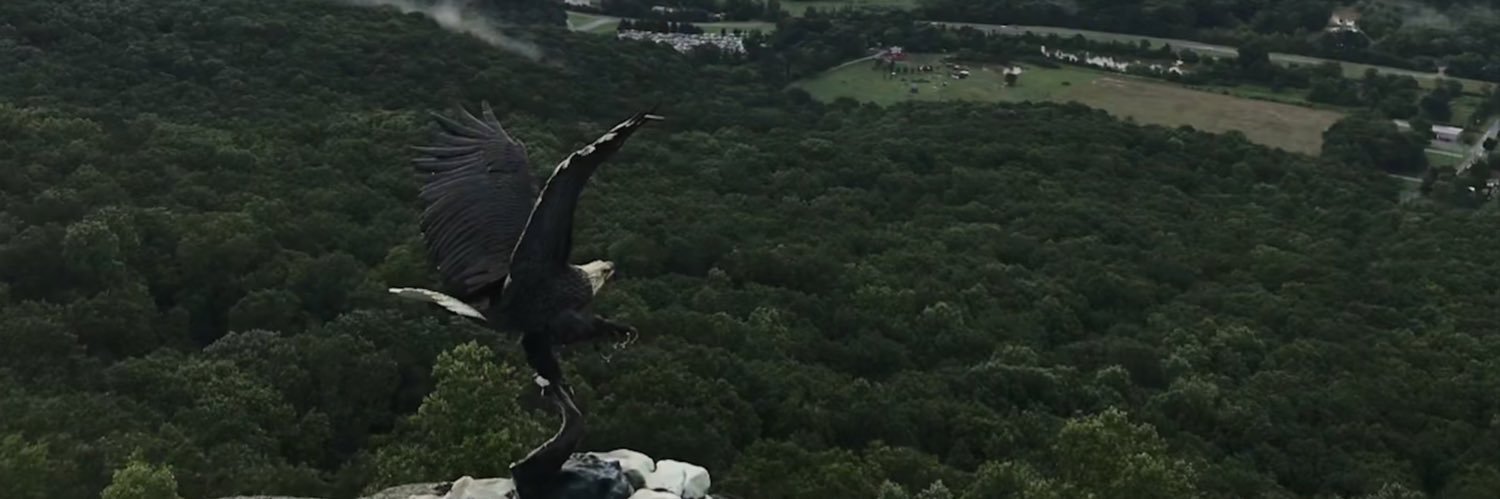 GipsonAylon's profile banner image