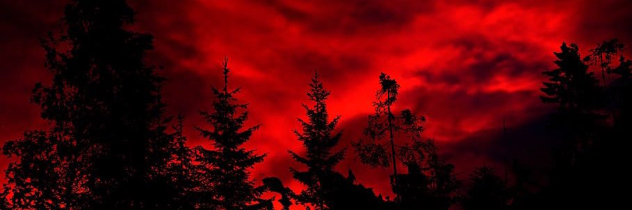 XimeRotelaa's profile banner image