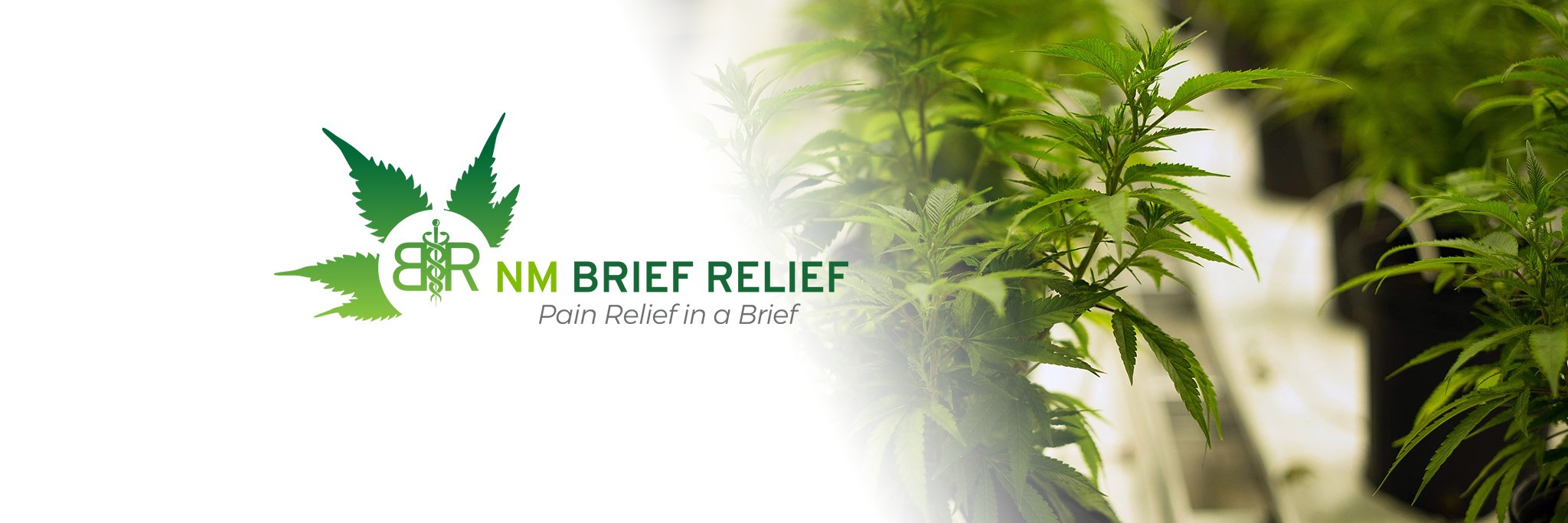 NMBriefRelief's profile banner image