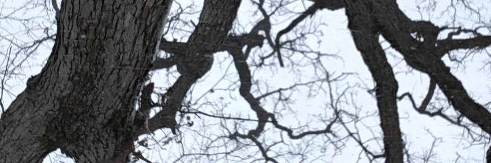 curtisarnett's profile banner image