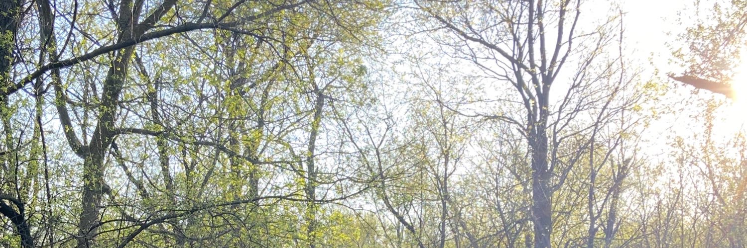 matt_b124's profile banner image
