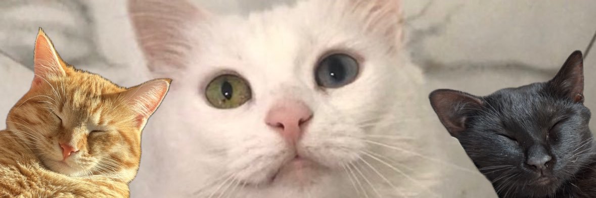 pointofuck's profile banner image