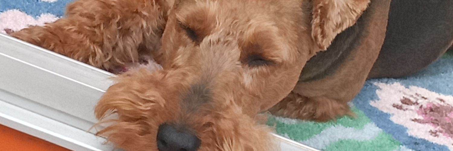 Archivarin1's profile banner image
