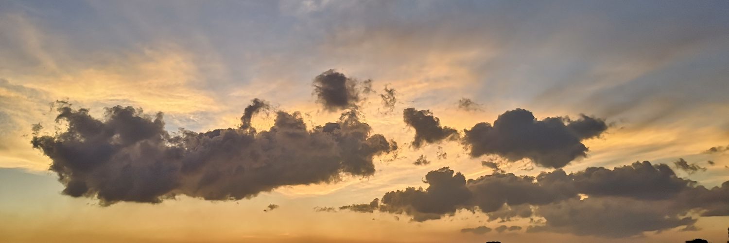 __mnicc's profile banner image