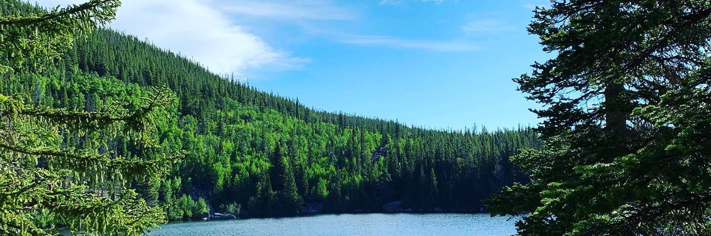 Catie Penrose banner