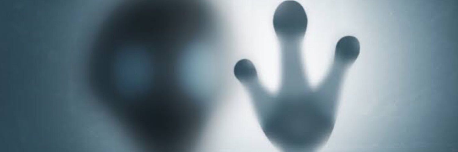 lorran queiroz  banner