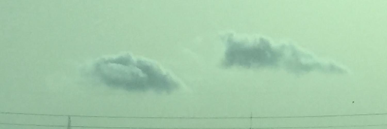 tenderpants's profile banner image
