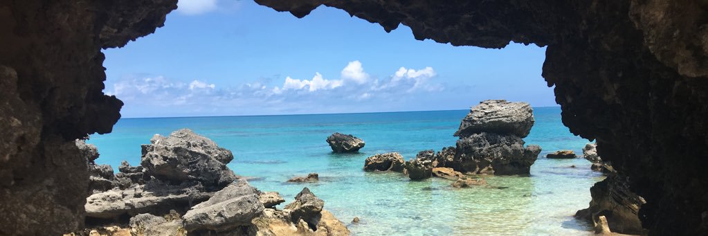Kelsii33's profile banner image