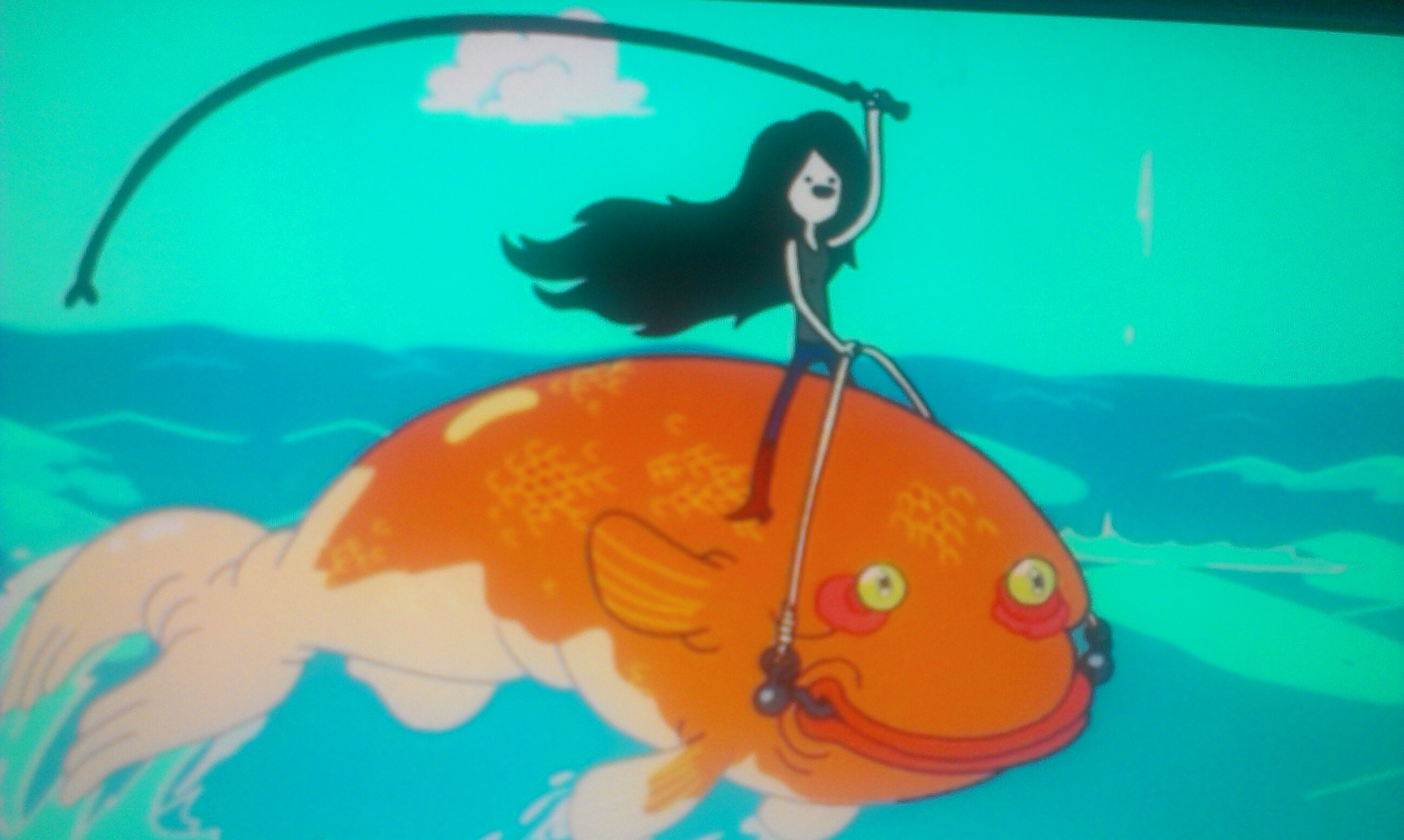 BRHawaii's profile banner image