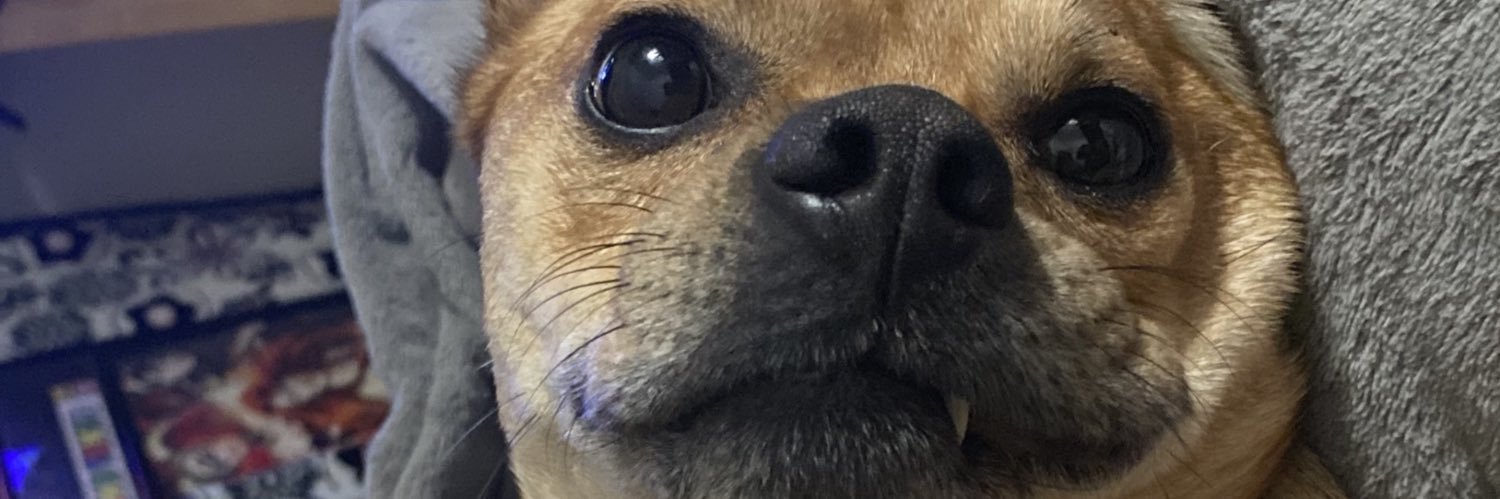 trombabe's profile banner image