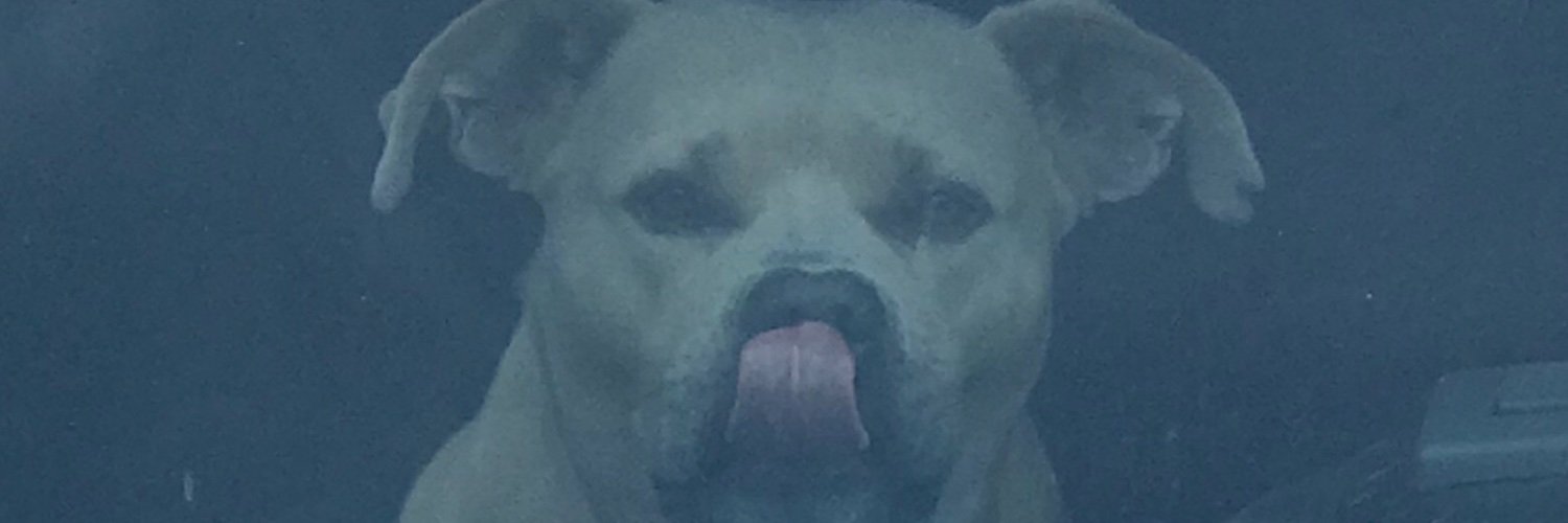 UNCUSCman's profile banner image