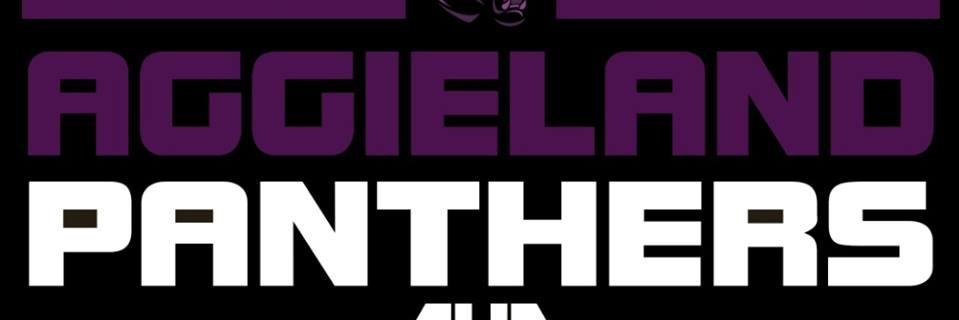 Aggieland Homeschool banner