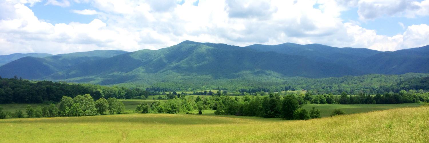EricaEstep's profile banner image
