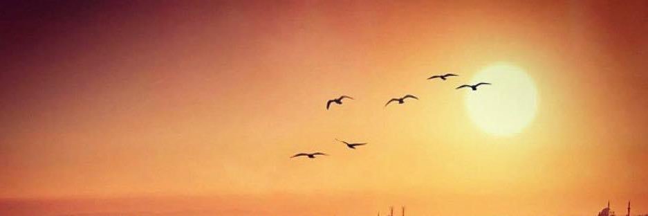 bersoz86's profile banner image