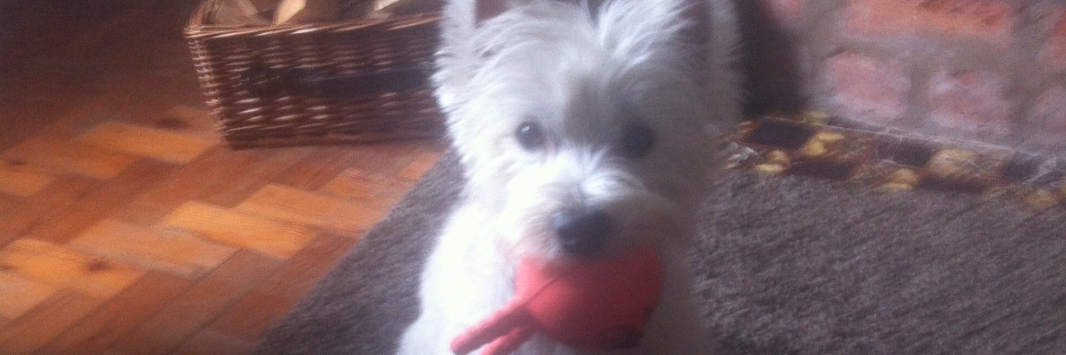 Sabrina the Midlife Bitch banner