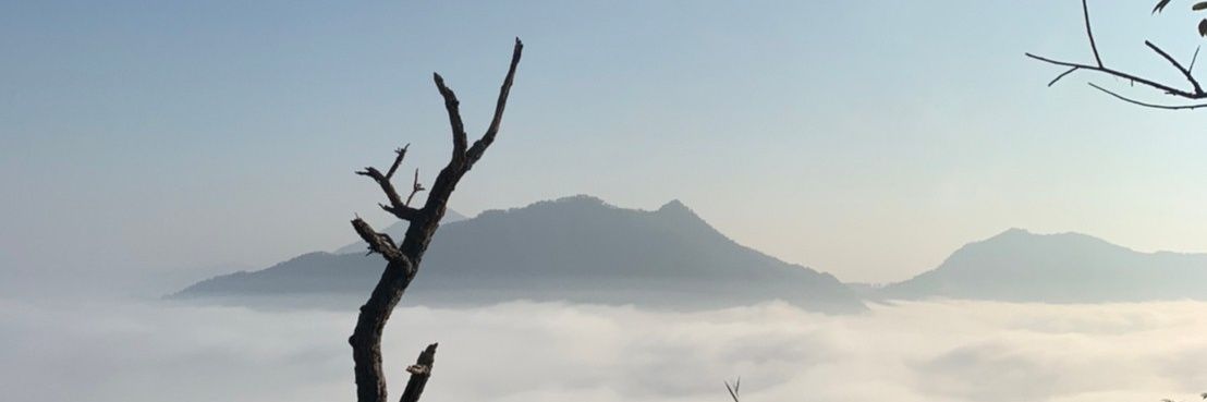 •••N••• banner